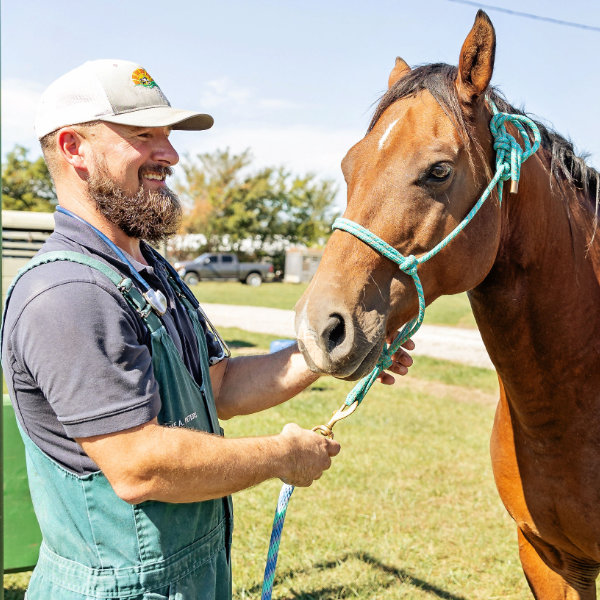 dr-mike-peters-equine-3